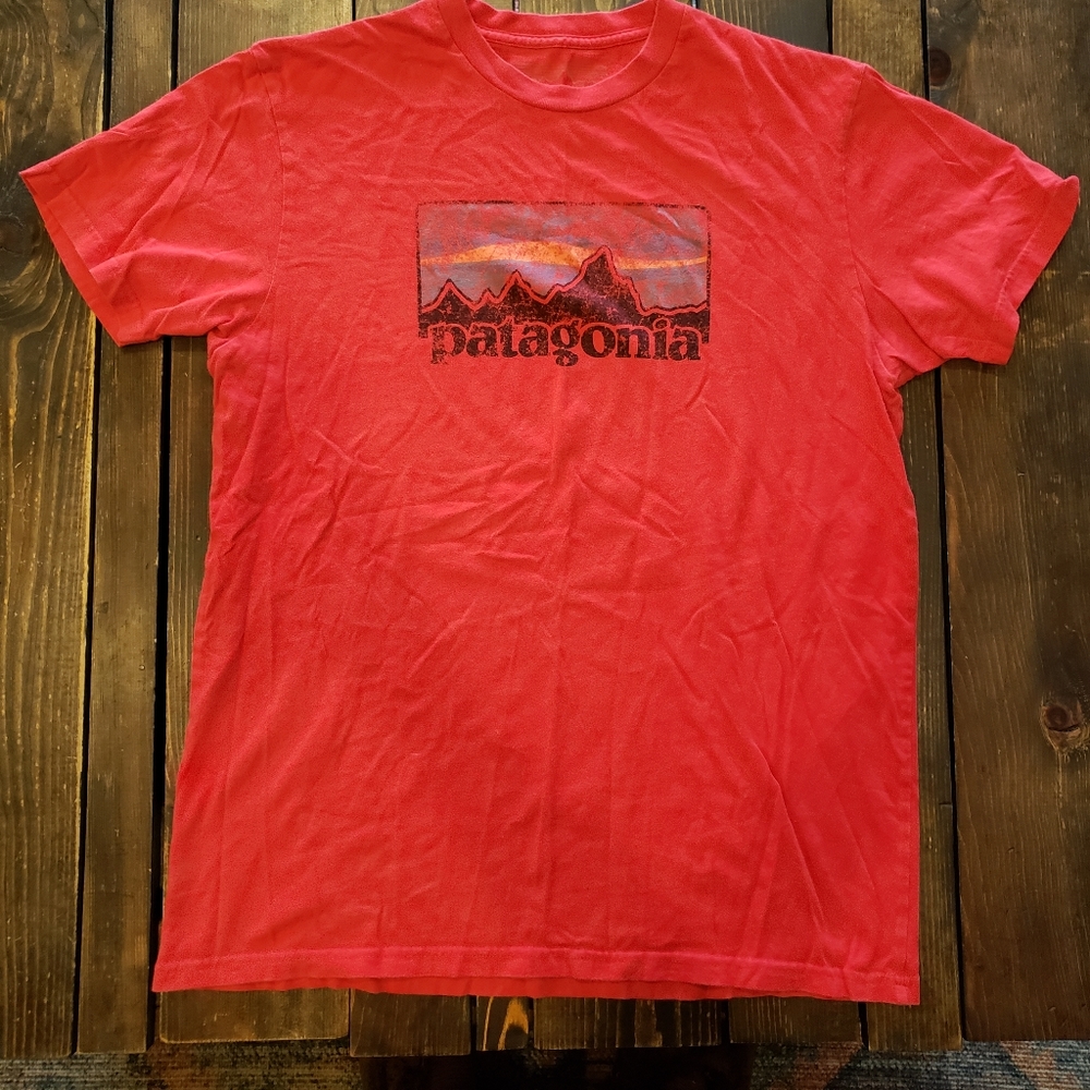 Patagonia t-shirt